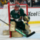 Marc-Andre Fleury nhl avalanche
